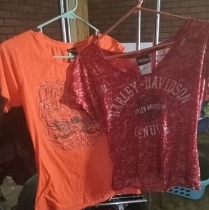 Woman's harley Davidson tshirts